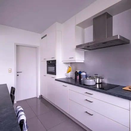 Image 4 - Blancefloerlaan 101;101A, 2050 Antwerp, Belgium - Apartment for rent