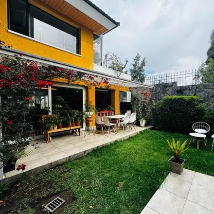 Image 1 - Dalus Pet Shop, Julio Arellano, 170124, Quito, Ecuador - House for sale