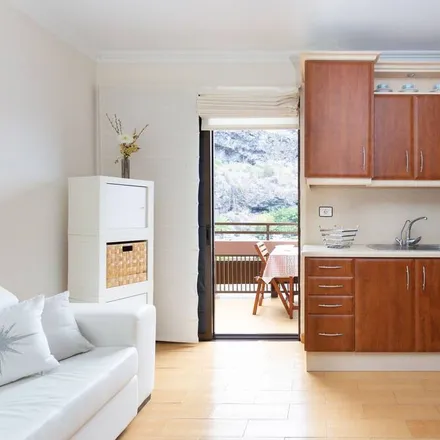 Image 3 - Icod de los Vinos, Santa Cruz de Tenerife, Spain - Apartment for rent