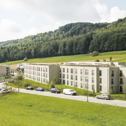 Image 6 - Ödlandschaft wird zu Naturschutzgebiet, Hinter-Dättnau, Dättnauerstrasse, 8408 Winterthur, Switzerland - Apartment for rent
