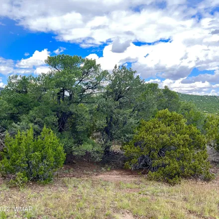 Image 1 - 49 North C Street, Springerville, Apache County, AZ 85938, USA - House for sale