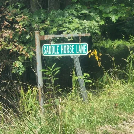 Image 9 - 199 Left Fork Scrabble Creek Road, Gauley Bridge, Fayette County, WV 25085, USA - House for sale