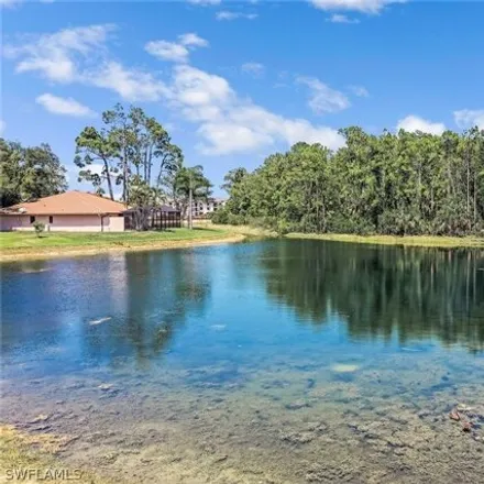 Image 4 - 18955 Cypress View Drive, Three Oaks, Lee County, FL 33967, USA - House for sale