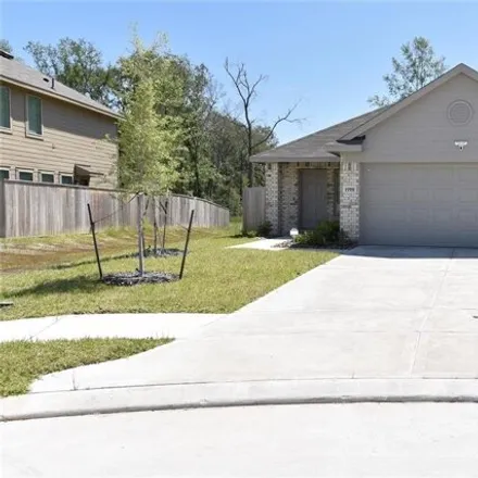 Image 3 - Zuccala Drive, Montgomery County, TX 77357, USA - House for rent
