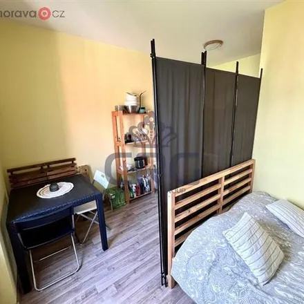 Image 5 - Velký Špalíček, Dominikánská, 659 37 Brno, Czechia - Apartment for rent