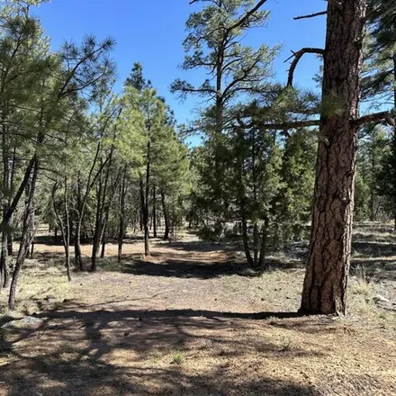 Image 5 - unnamed road, Show Low, AZ 85901, USA - House for sale
