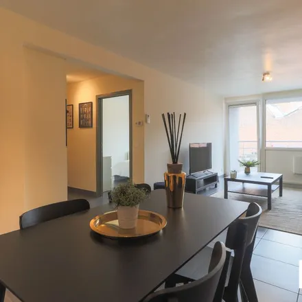 Rent this 1 bed apartment on Aalbeeksesteenweg 62;62A-62B in 8500 Kortrijk, Belgium