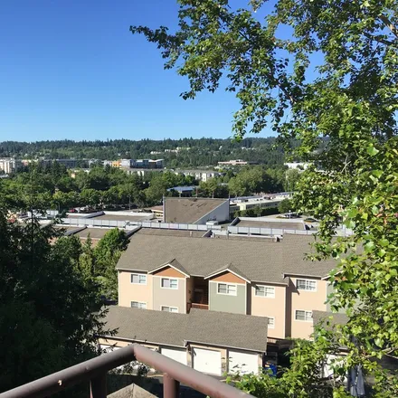 Rent this 1 bed apartment on Redmond