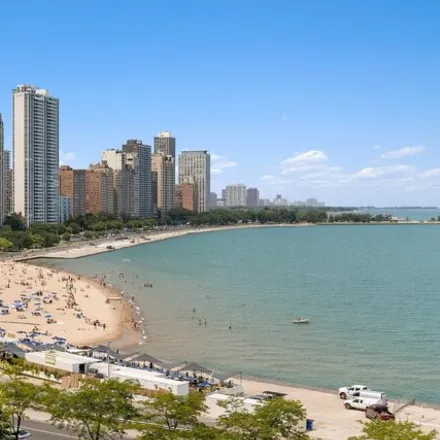 Image 5 - 219 East Lake Shore Drive, Chicago, IL 60611, USA - Condo for sale