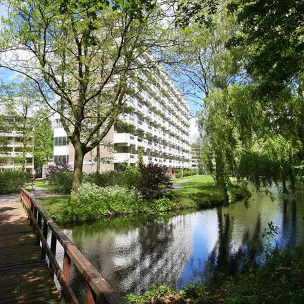Rent this 1 bed apartment on De Baronie 331 in 2904 XN Capelle aan den IJssel, Netherlands