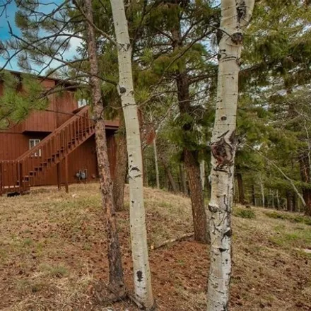 Image 2 - 747 Cottonwood Lake Drive, Teller County, CO 80814, USA - House for sale