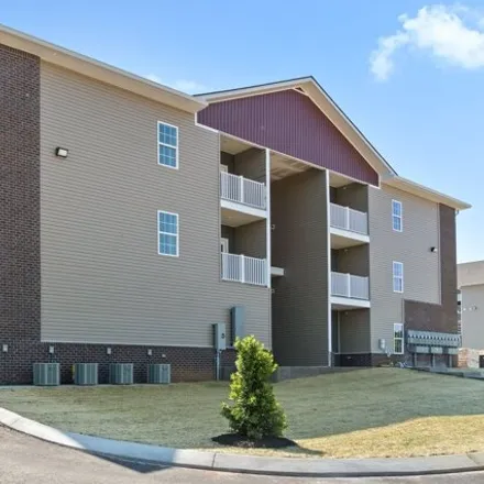 Rent this 2 bed apartment on 316 Meadow Green Drive in Cumberland Hills, Clarksville