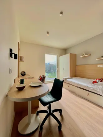 Rent this studio apartment on Anitex in Rua Nova do Rio, 4200-323 Porto