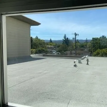 Image 3 - Bird in the Nest, Laurel Street, San Carlos, CA 94070, USA - Apartment for rent