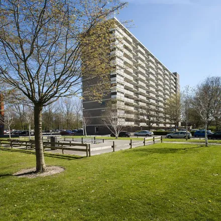Image 2 - Monnickenblake, Dadeltuin, 3078 LD Rotterdam, Netherlands - Apartment for rent