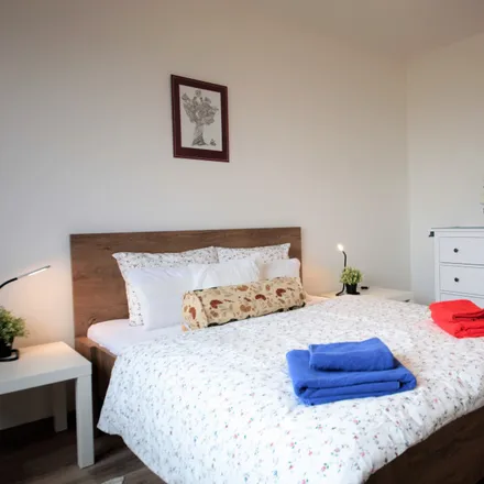 Rent this 1 bed apartment on Krásného 336/3 in 162 00 Prague, Czechia