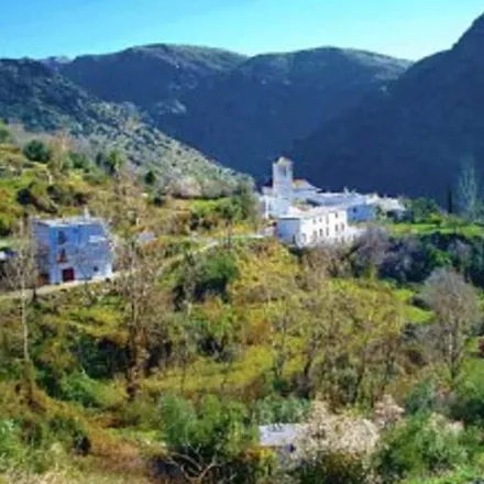 Image 7 - La Taha, Andalusia, Spain - House for rent