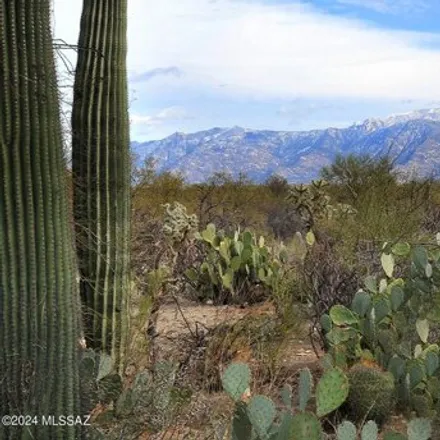 Image 3 - North Quail Lane, Marana, AZ 85742, USA - House for sale