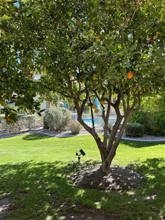Image 6 - 3564 Bogert Trail, Palm Springs, CA 92264, USA - Condo for sale