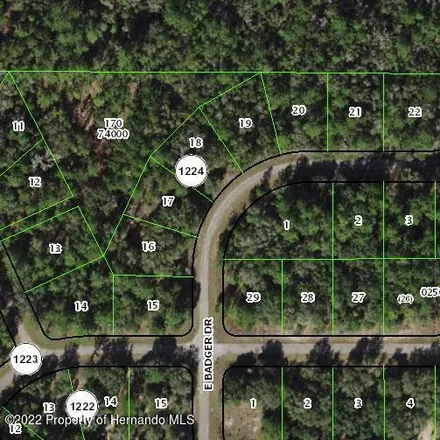 Image 2 - 2200 West Springlake Drive, Citrus County, FL 34434, USA - House for sale