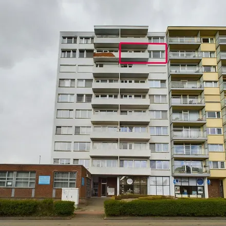 Image 6 - Reinpadstraat 11, 3600 Winterslag, Belgium - Apartment for rent