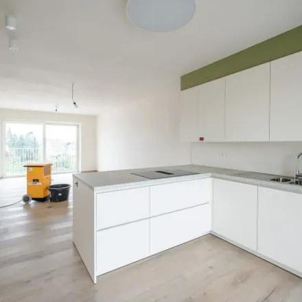 Rent this 2 bed apartment on Bergeind 18 in 3930 Hamont-Achel, Belgium