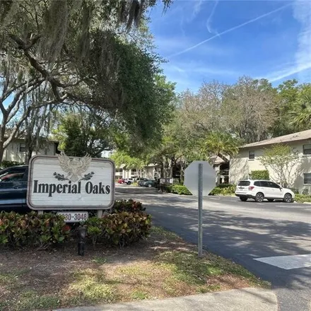 Image 1 - Burntfork Drive, Clearwater, FL 33761, USA - Condo for rent