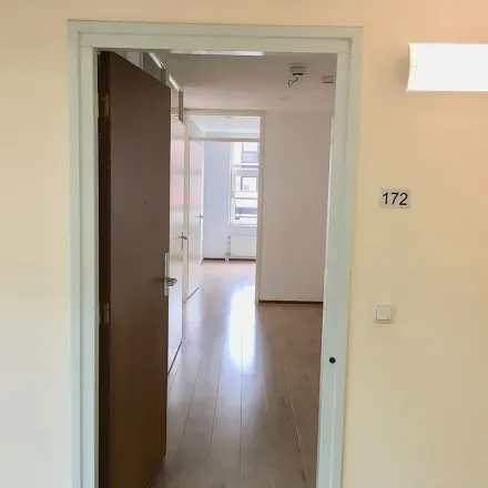 Rent this 1 bed apartment on Lichtstraat 172 in 5611 XC Eindhoven, Netherlands