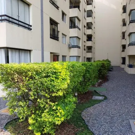 Rent this 1 bed apartment on Avenida Gen. Valdomiro De Lima in 450, Avenida General Valdomiro de Lima