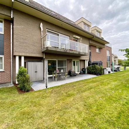 Image 5 - Vierschaar, 9660 Brakel, Belgium - Apartment for rent