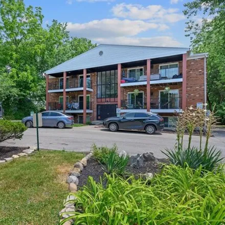 Image 1 - Pleasant Ridge Business District, 6204 Ridge Road, Cincinnati, OH 45236, USA - Apartment for rent