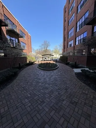 Image 4 - 2323 West Pershing Road, Chicago, IL 60009, USA - Condo for sale
