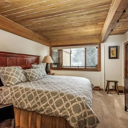 Image 1 - Snowmass Village, CO, 81615 - Condo for rent