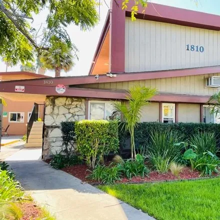 Rent this 1 bed apartment on 1810 W Sallie Ln in Anaheim, CA 92804