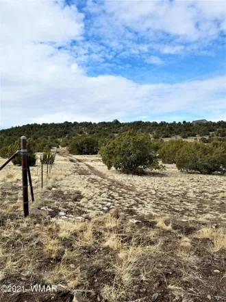 Image 1 - 1100 Lesueur Drive, Eagar, Apache County, AZ 85925, USA - House for sale