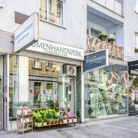 Image 1 - Smoothie & Juice Bar, Krugerstraße, 1010 Vienna, Austria - Apartment for rent