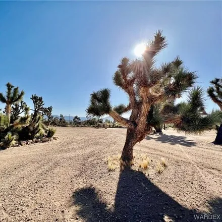 Image 7 - 18805 Spur Drive, Dolan Springs, Mohave County, AZ 86441, USA - House for sale