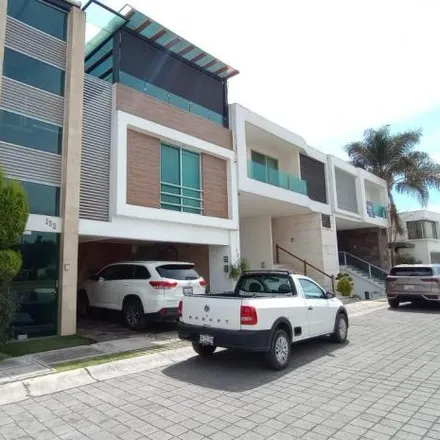 Rent this 1 bed apartment on Calle Magallanes in 72830 Lomas de Angelópolis (Residencial), PUE