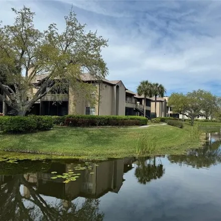 Rent this 1 bed condo on Waterford in Saint Petersburg, FL