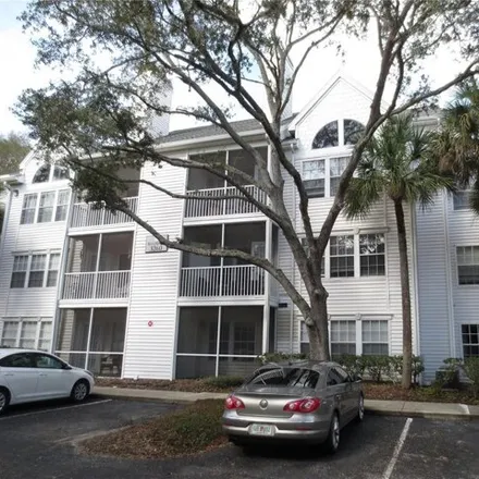 Rent this 1 bed condo on Haviland Court in East Lake, FL 34684