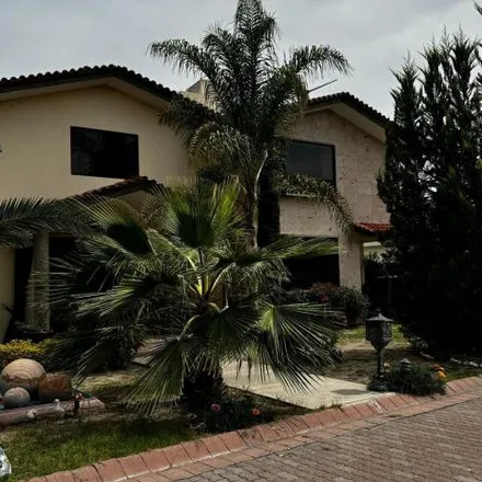 Image 1 - Calle Paseo del Lago, Los Negritos, 20313 Aguascalientes, AGU, Mexico - House for sale