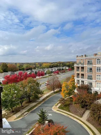 Image 8 - 810 Belmont Bay Drive, Woodbridge, VA 22191, USA - Condo for rent