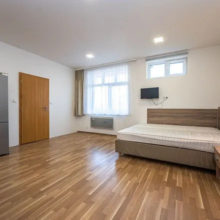 Image 8 - přírodní památka Pod Žvahovem, Na Zlíchově, 147 00 Prague, Czechia - Apartment for rent