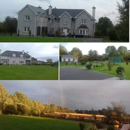 Image 2 - The Municipal District of Birr, The Municipal District of Birr, IE - House for rent