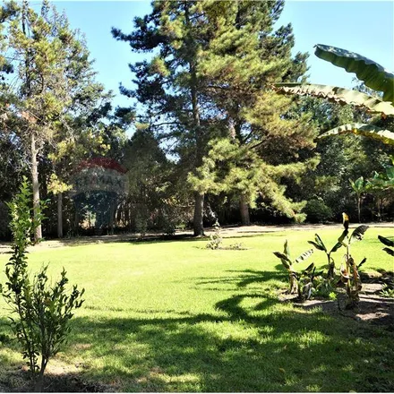 Image 5 - unnamed road, 980 0518 Parque Doña Javiera, Chile - House for sale