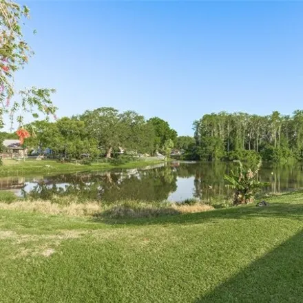 Image 4 - 4590 Alligator Drive, Seven Springs, Pasco County, FL 34653, USA - House for sale
