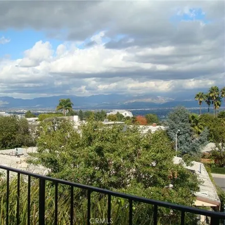 Image 3 - 2958 Elvido Drive, Los Angeles, CA 90049, USA - House for rent