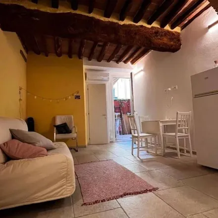 Image 9 - Pegaso, Via Santa Marta, 56127 Pisa PI, Italy - Apartment for rent