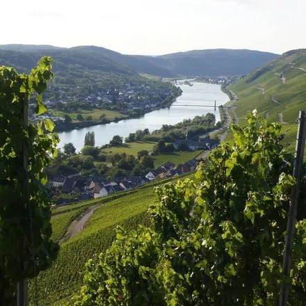 Image 9 - Graach an der Mosel, Rhineland-Palatinate, Germany - Apartment for rent