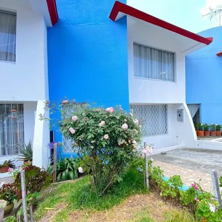 Rent this 3 bed house on Jose Fernandez in 170307, Quito